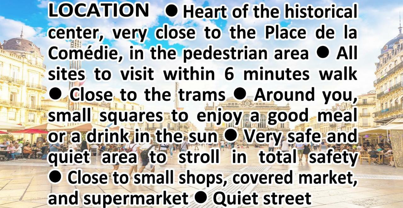 דירות מונפלייה Comedie Musee-Fabre Parking Offert Climatisation מראה חיצוני תמונה